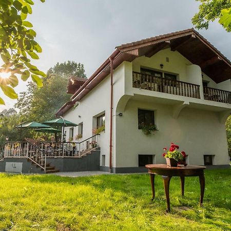 Casa Din Plai Acomodação com café da manhã Provita de Sus Exterior foto