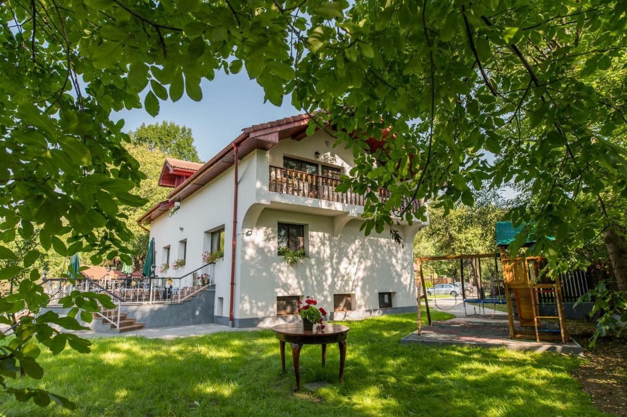 Casa Din Plai Acomodação com café da manhã Provita de Sus Exterior foto