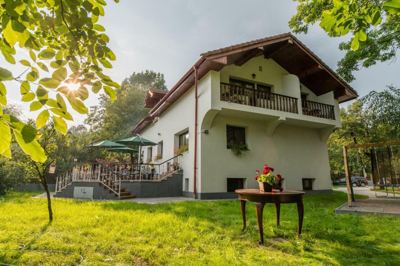 Casa Din Plai Acomodação com café da manhã Provita de Sus Exterior foto