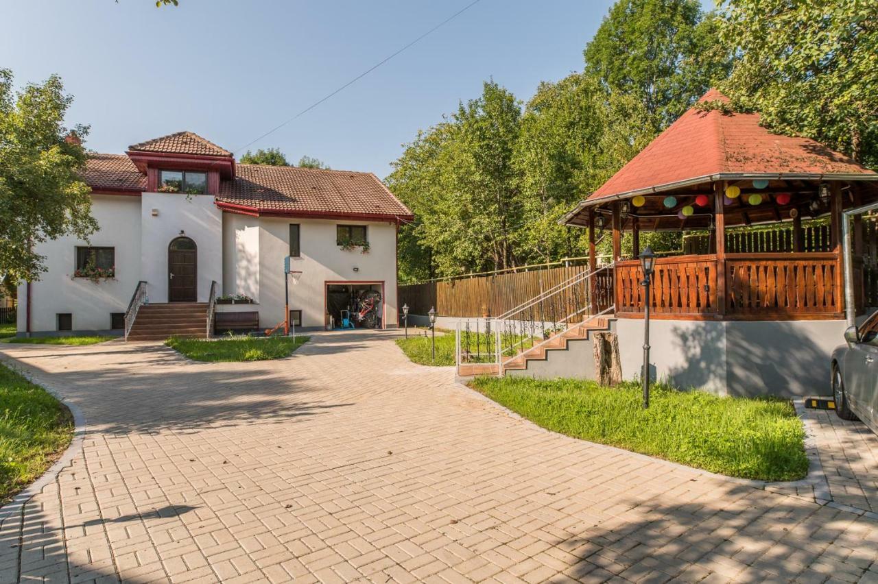 Casa Din Plai Acomodação com café da manhã Provita de Sus Exterior foto