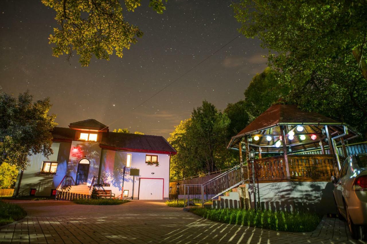 Casa Din Plai Acomodação com café da manhã Provita de Sus Exterior foto